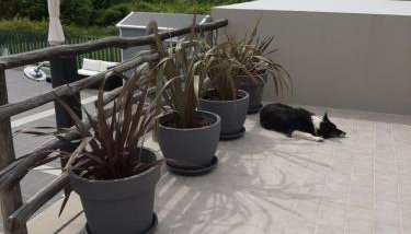 Holiday home Plat CX - Foto 5