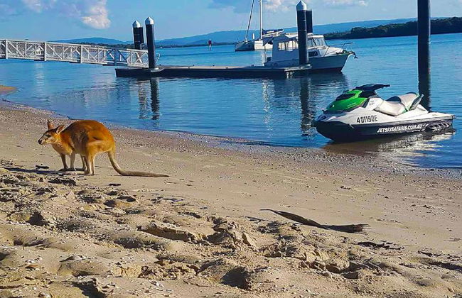 Ski Safari + Parasail + Jetboot - Foto 8