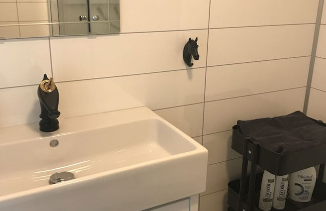 Sólvangur Farm, Icelandic Horse Center - Photo 10