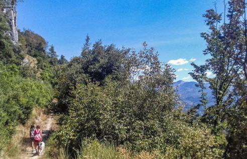 Stunning Home In Capannori With Jacuzzi - Foto 41