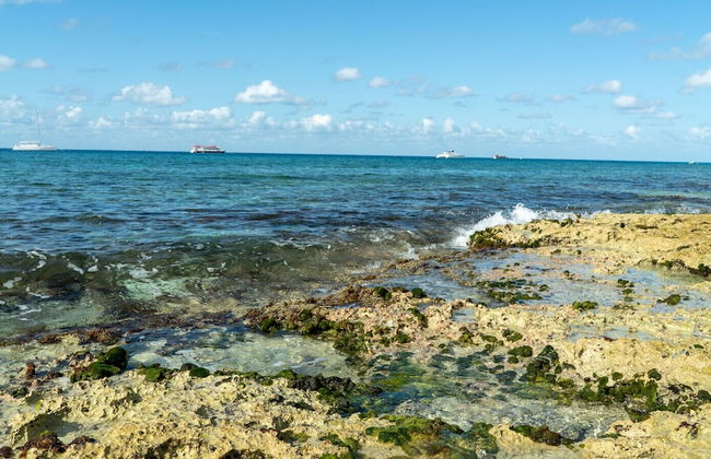 Cozumel Apartments - Foto 55