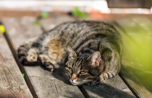 Schrödlhof - Foto 14