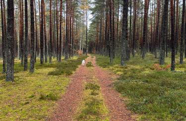 Domki Skandynawskie Kopalino - Foto 4