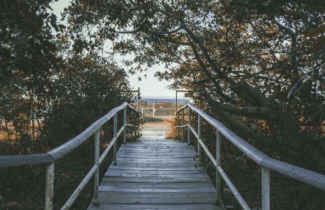 Tour di Tampico - Foto 6