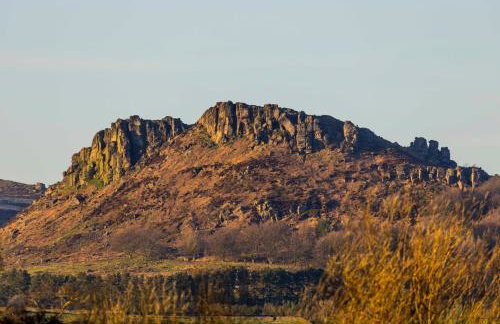 The Roaches - Foto 9