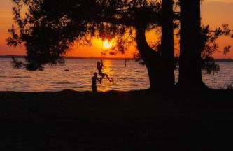 Maison paisible avec jardin - proche du lac de Sanguinet - Foto 26