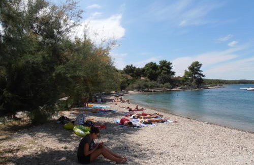 Jenny`s House - Photo 3