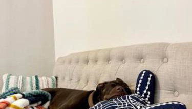 4 bdr Cottage, Edinboro Lake Views, Dogs Welcome - Foto 1