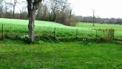 Tranquil Cottage in Normandy - Foto 5, Garden, Other