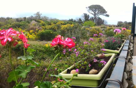 Casa Limoni al mare tra Catania Etna e Taormina - Foto 25
