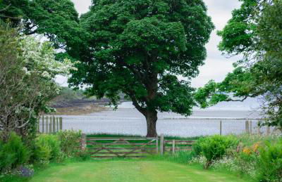 Steading Cottage - 50m from the beach - Foto 46