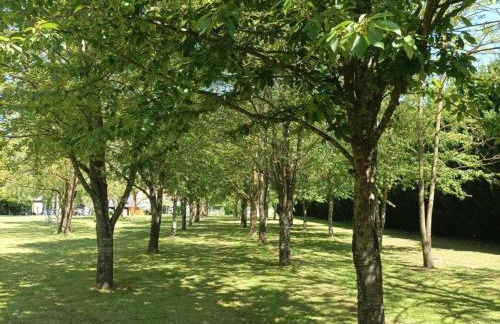 Gîte tout confort avec grand jardin, cheminée, clim et WIFI, proche châteaux de la Loire et ZooParc de Beauval - FR-1-491-400 - Photo 18