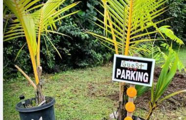 Summer spirit Neapolis - Photo 31