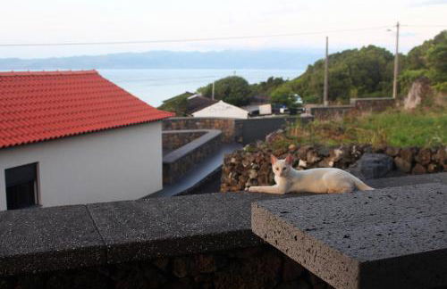 Vila Paim - Photo 57