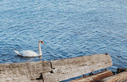 The Weights and Measures Office - Foto 22