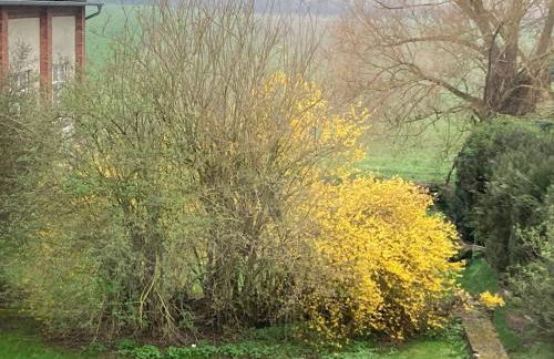 Turmwohnung, 3. Obergeschoss - Foto 9