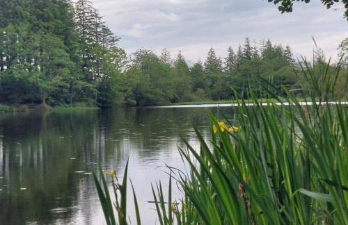 Beautiful renovated former coach house - Photo 36