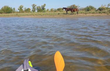 Casa do Ferreiro by Valada Village - Foto 19