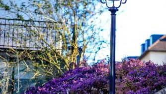 Carl-Kaiser-Loft I - Foto 2, Garden view