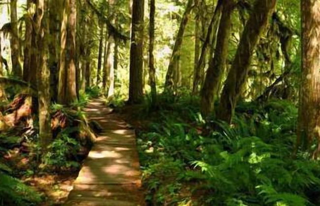 86SL - Rustic - Pets Ok - BBQ - Sleeps 6 - Foto 31