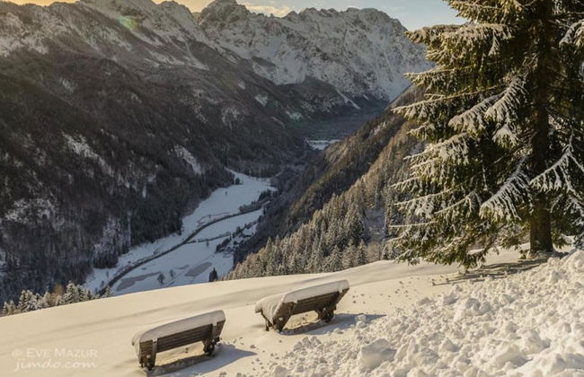 Alpine Apt Melanija Private Ski Area - Photo 9