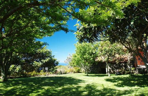 Gran Drago - Foto 28