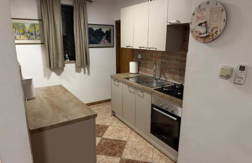 VILA LASOVIC + POOL + JACUZZI + SAUNA - Foto 30