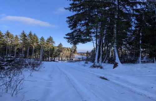 Charmantes Feriendomizil in Medebach - Foto 7