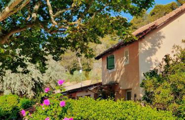 Domaine Lou Amì - Foto 13