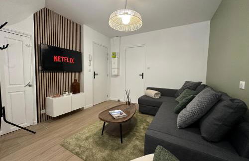 IMMEUBLE ST-PIERRE - GARE 10min - HORTILLONNAGES 5min - WIFI - TV HD - Foto 7