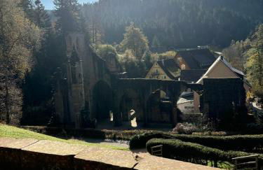 Haus Steiner - Ruhige, top bewertete Ferienwohnung in Lauterbach - Schwarzwald - Foto 58