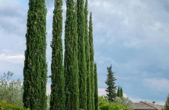 Borgo Argiano - Photo 148