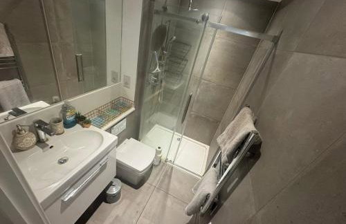 JVL Nice Cosy 1BR Flat Purley, London - Foto 64