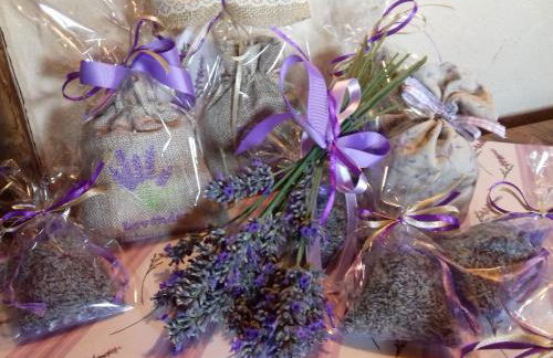 CleMaison Antica Dimora Apartments CIR VDA GIGNOD 0013 - Foto 44