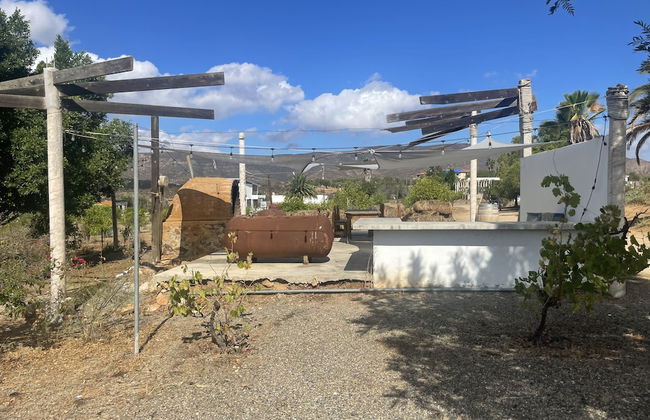 Wine country In Valle de Guadalupe - Foto 14