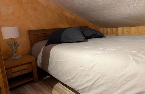Appartement cosy proche Châtel Portes du soleil - linge inclus - Foto 9