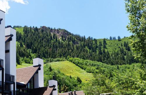 Durant Unit C12, Condo with 2 Fireplaces, Access to Pool & Hot Tub - Foto 20