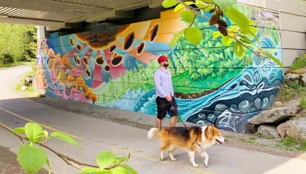 Whistler Walking Tour - Foto 2