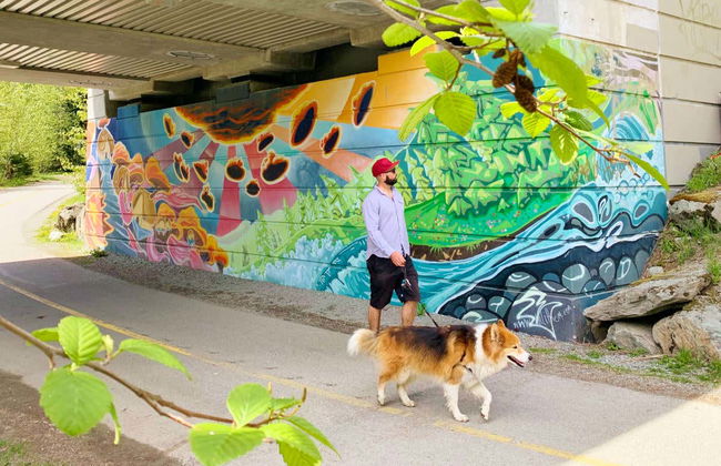 Visita guiada por Whistler - Foto 1