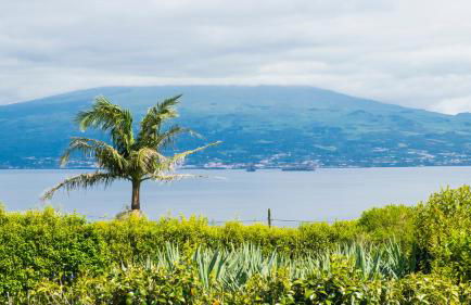 Quinta do Torcaz - Foto 109