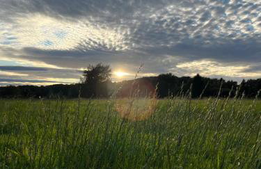 Unbox at Poplar Tree - Photo 43