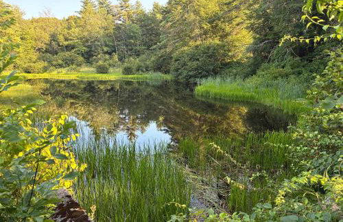 Riptide Cottage Adorable Yr Round Cottage in Bradford - Foto 30