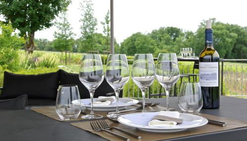 Luxury Château Apartment 2 Suites & Vineyard View - Foto 4