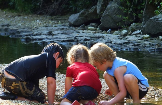 Rock Eddy Bluff Farm - Photo 31