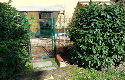 La Piccola Oasi con parcheggio - Foto 22