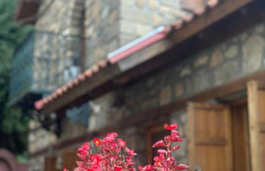 Urban River House - Foto 70