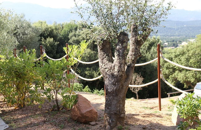 Residence a Licetta - Photo 46