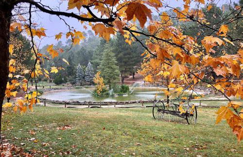 Chalet lujo en finca Zafiro lagunazo Riopar 5 o 3 dormitorios y 3 Baños Parque Natural del Rio Mundo - Foto 23