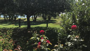 Residence Scopa Marina - Foto 4