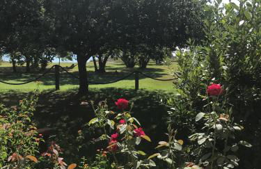 Residence Scopa Marina - Foto 4